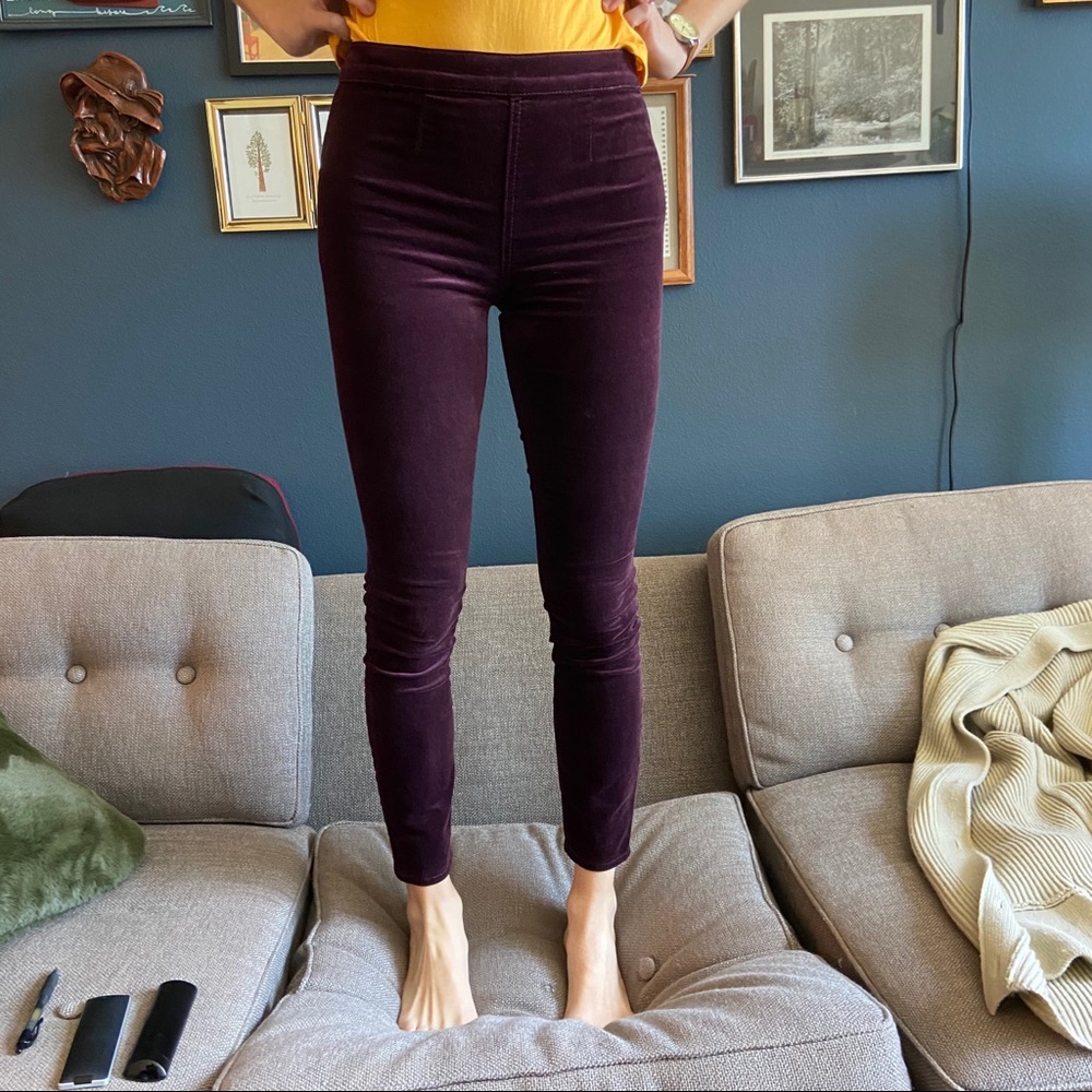 Gap Velvet Legging Pant